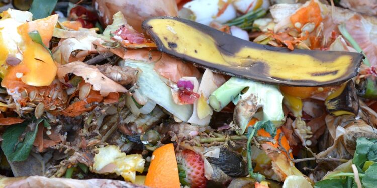 En la etapa de consumo, se desperdicia el 17% de los alimentos