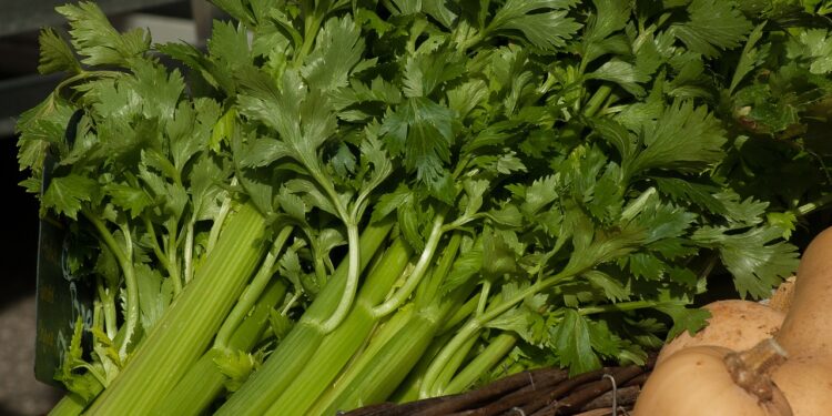 Estos son los alimentos frescos más contaminados en EEUU