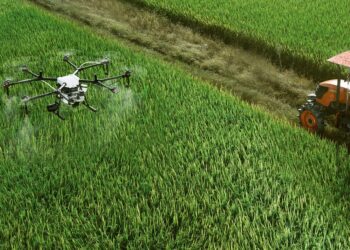 FAO y China apuestan a la digitalización en la agricultura