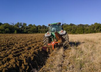 Pide el IICA fortalecer el financiamiento y aseguramiento agrícola