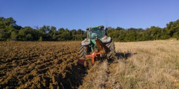 Pide el IICA fortalecer el financiamiento y aseguramiento agrícola