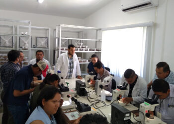 Transfieren a productores tecnología para combatir a la mosca del vinagre