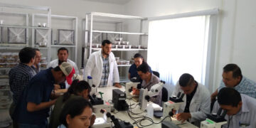 Transfieren a productores tecnología para combatir a la mosca del vinagre