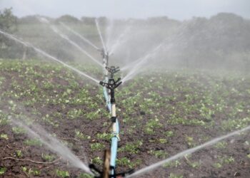 Uso eficiente del agua en la agricultura, clave para el desarrollo sostenible