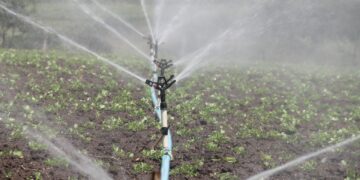 Uso eficiente del agua en la agricultura, clave para el desarrollo sostenible