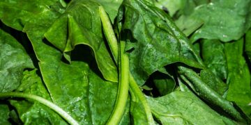 Dos por ciento de los alimentos en la UE superó límites de pesticidas