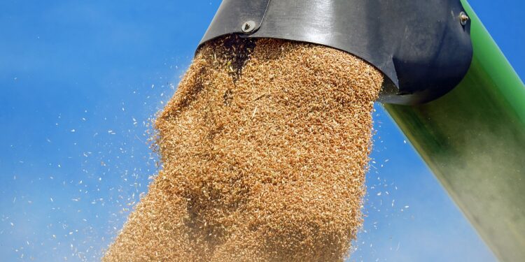 Grupo Ceres presenta el primer token para comercializar commodities agrícolas