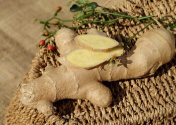 La pandemia de COVID-19 impulsa la demanda de jengibre orgánico