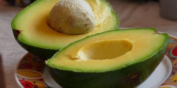 Los Países Bajos tienen hambre (insatisfecha) de aguacate mexicano
