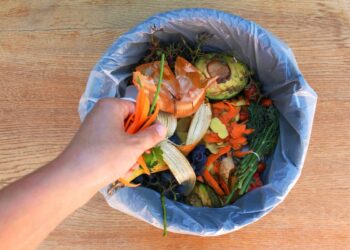 Residuos orgánicos son materia prima para energías limpias