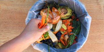 Residuos orgánicos son materia prima para energías limpias