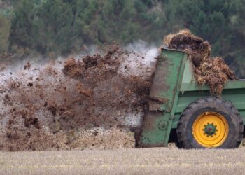 Revisiones a los estándares LPO y uso de estiércol en el sector orgánico de México
