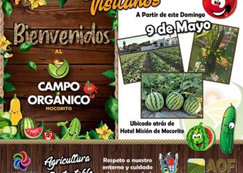 Campo Orgánico integra turismo y cosecha