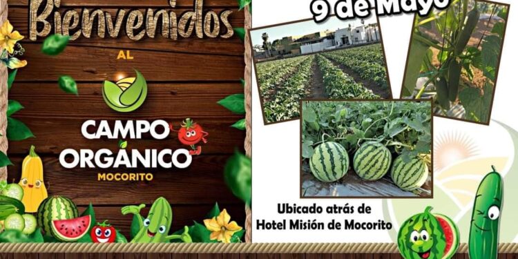 Campo Orgánico integra turismo y cosecha
