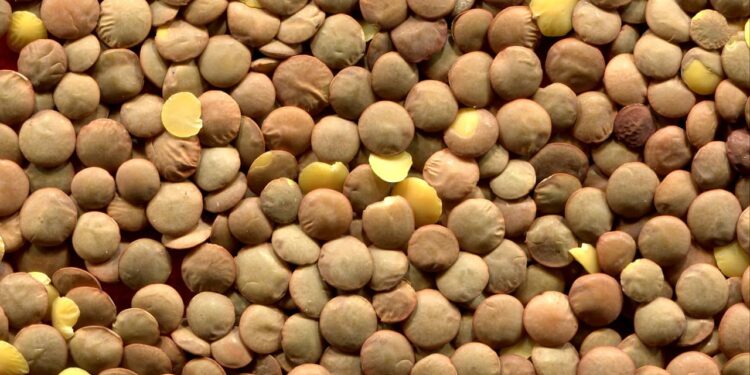 Mexicanos sustituyen la carne por proteínas vegetales