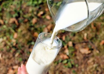 México produce más de 12 mil millones de litros de leche al año
