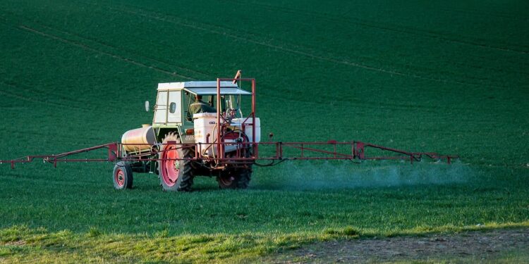Se mantiene la prohibición a maíz transgénico y glifosato