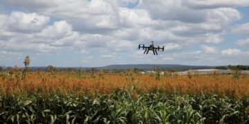 El 5G será un aliado de la agricultura orgánica