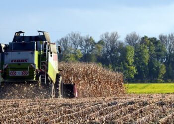 En abril, cae la producción nacional de granos