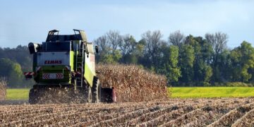 En abril, cae la producción nacional de granos