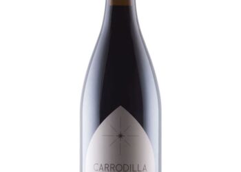 Vinos orgánicos de México reciben reconocimientos internacionales