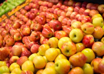 Argentina aumenta su área productiva de orgánicos