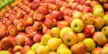 Argentina aumenta su área productiva de orgánicos