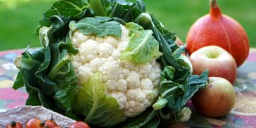 Aumenta la demanda de productos orgánicos en Toluca