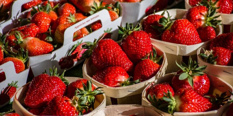 Beneficios del consumo de orgánicos