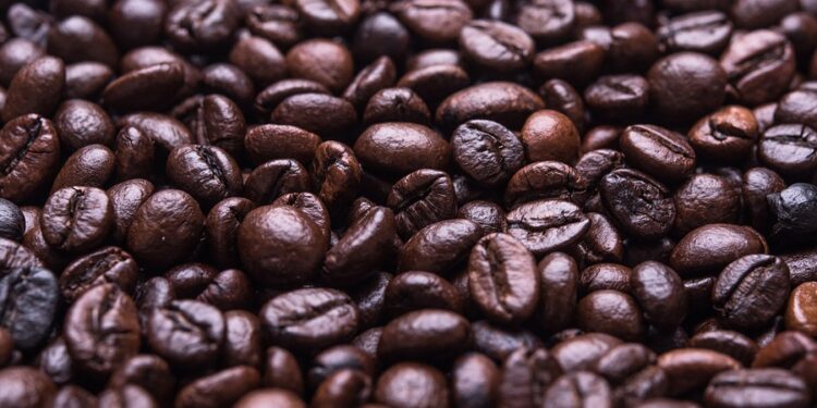 Cafeticultores de Xicotepec apuestan por café orgánico