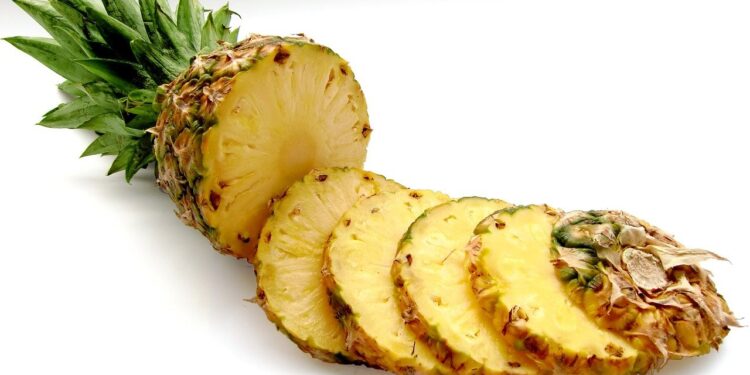 Con residuos de piña y hongos, jóvenes elaboran aislantes y empaques