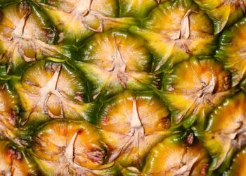 Elaboran textiles y bioplasticos con residuos de coco, yuca y piña