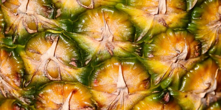 Elaboran textiles y bioplasticos con residuos de coco, yuca y piña