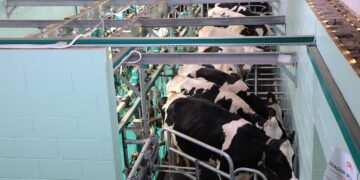 Inicia el Sexto Foro Nacional de Lechería