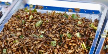 Los insectos se abren paso en el mundo de la proteína animal para el ganado