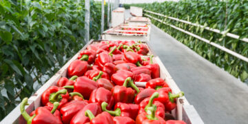 Querétaro está listo para la primera edición de GreenTech Americas