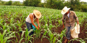 El campo de México, sumido en la pobreza; el gobierno, decidido a importar alimentos