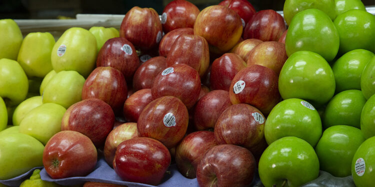 Estiman en 14% el crecimiento de la producción nacional de manzana