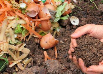 Firmas de fertilizantes orgánicos buscan más presencia en el mercado