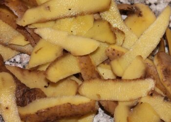 Desarrollan empaques con restos orgánicos