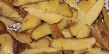 Desarrollan empaques con restos orgánicos