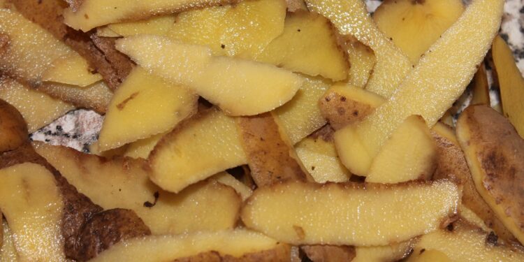 Desarrollan empaques con restos orgánicos