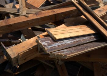 Ingeniero colombiano transforma residuos orgánicos en bioabono