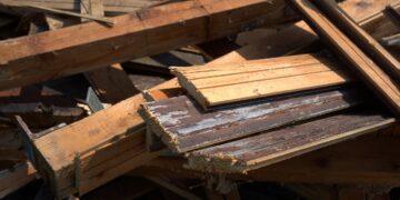 Ingeniero colombiano transforma residuos orgánicos en bioabono