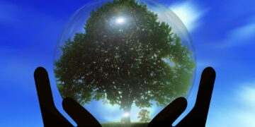 Impulsan apoyos para proyectos climáticos