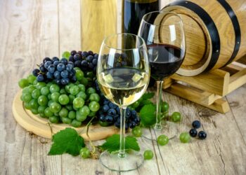 Pactan prácticas sustentables en producción de vino