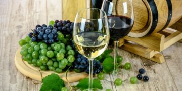 Pactan prácticas sustentables en producción de vino
