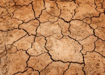 Plantean estrategia para recuperar calidad de los suelos agrícolas