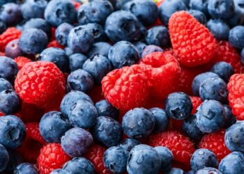 Exportación de berries genera ingresos por mil 900 MDD a Guanajuato