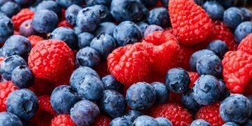 Exportación de berries genera ingresos por mil 900 MDD a Guanajuato